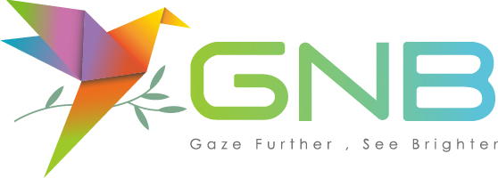 GNB Far Vision Logo